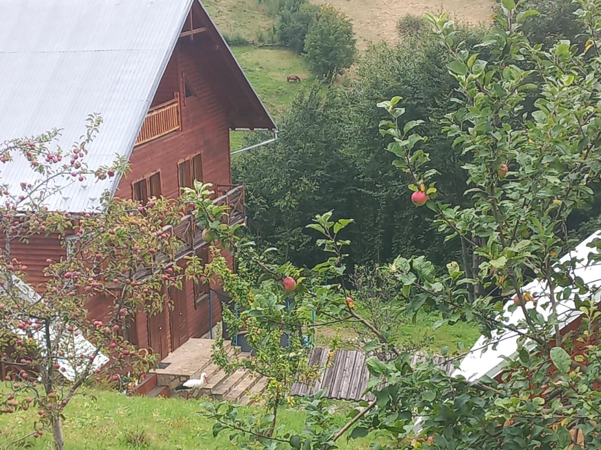 Villa Gold Yaremche Eksteriør billede